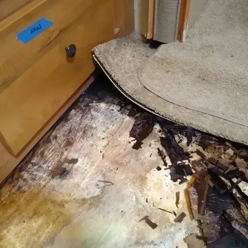 Best Wood Floor Water Damage Service in Gladstone, NJ